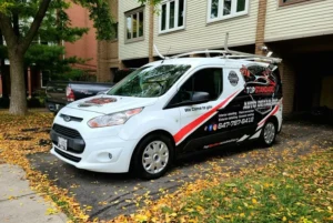 mobile auto detailing